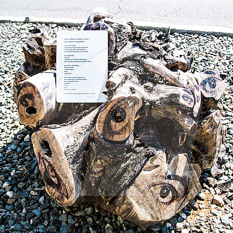 Objekt Holz, an abgeschnittenen Ästen sind Augen transferiert - wenn Bäume Augen tragen, was haben sie gesehen
